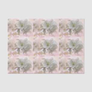 White Apple Blossom Photograph Patterned Tissue Paper