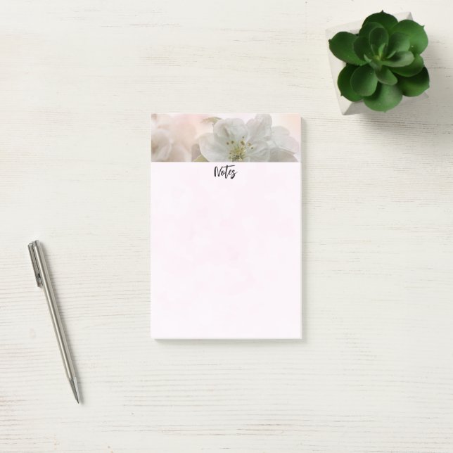 White Apple Blossom Photograph Post-it Notes (Office)