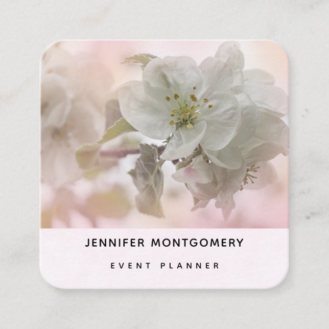 White Apple Blossom Photograph Square Business Card (Front)