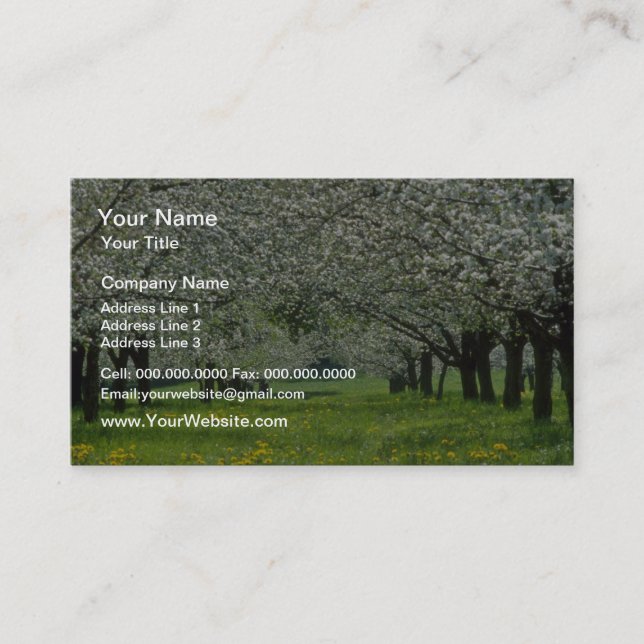 white Apple trees flowers Business Card (Front)