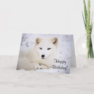 White arctic fox card