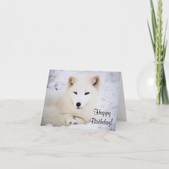 White arctic fox card (Front)