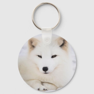 White arctic fox in snow key ring