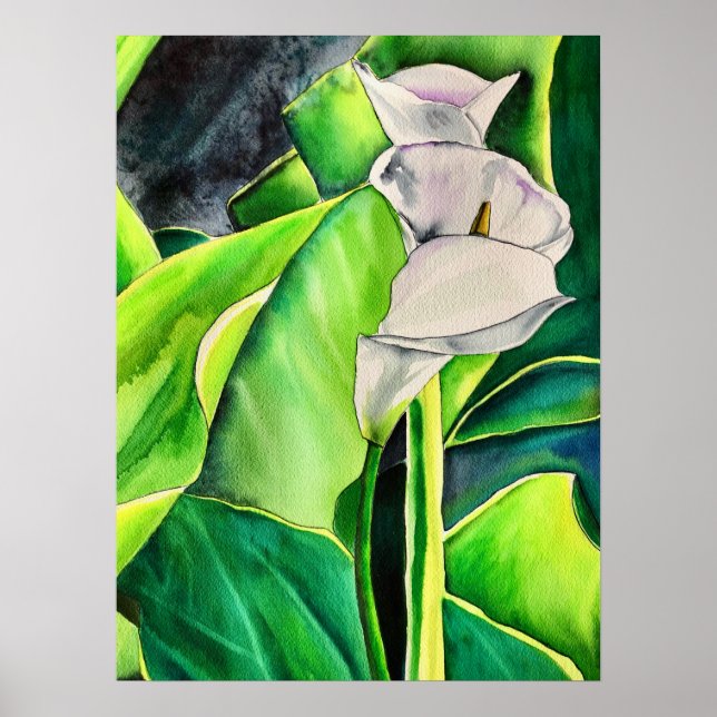White Arum Lily watercolor tropical floral Poster (Front)