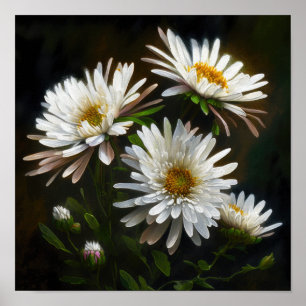 White Aster Flower Art Print Poster