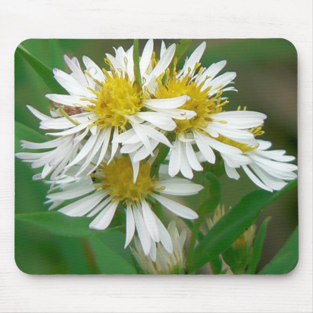 White Asters Mousepad (Front)
