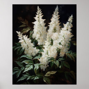 White Astilbe Flowers Art Print Poster
