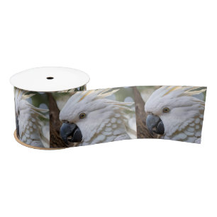 White Australian Cockatoo Parrot, Satin Ribbon