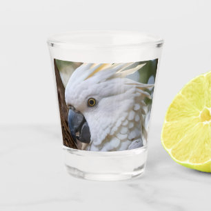 White Australian Cockatoo Parrot, Shot Glass