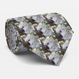 White Australian Cockatoo Parrot, Tie