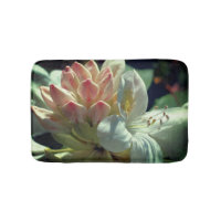 White Azalea Flower Blossom And Bud
