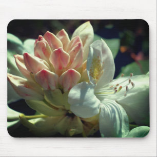 White Azalea Flower Mouse Pad