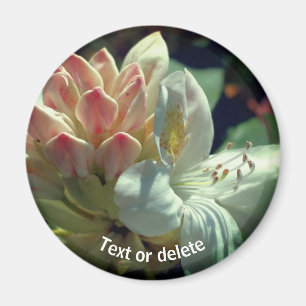 White Azalea Flower Personalised Magnet