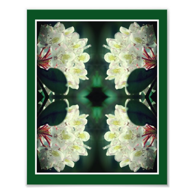 White Azalea Flower With Raindrops Abstract 8x10 Photo Print (Front)