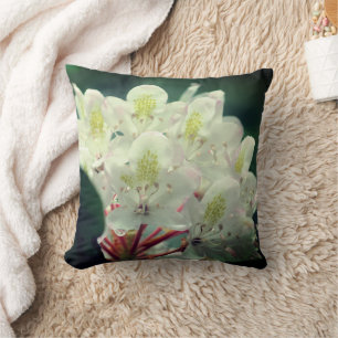 White Azalea Flower With Raindrops Cushion