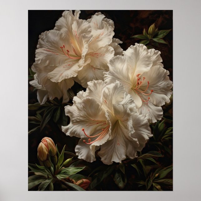 White Azalea Flowers Art Print Poster (Front)