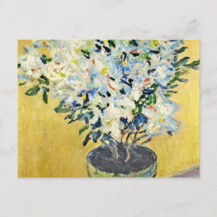 White Azaleas in a Pot - Claude Monet Postcard