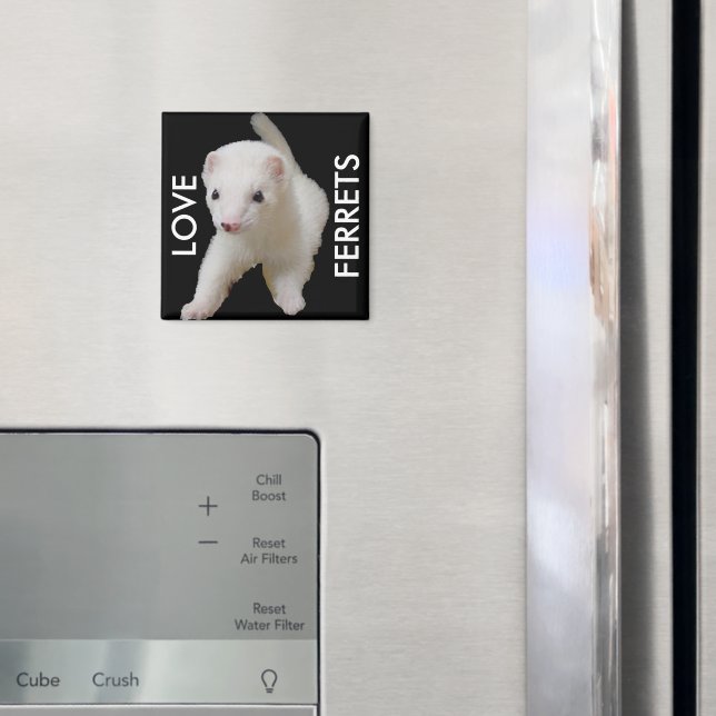 White Baby Ferret Magnet (In Situ (Fridge))