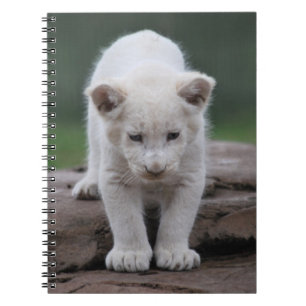 White baby lion cub spiral notebook