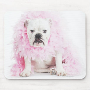 white background, white bulldog, pink feather mouse pad