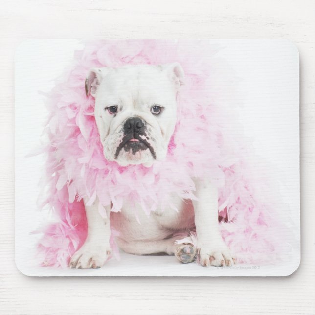 white background, white bulldog, pink feather mouse pad (Front)