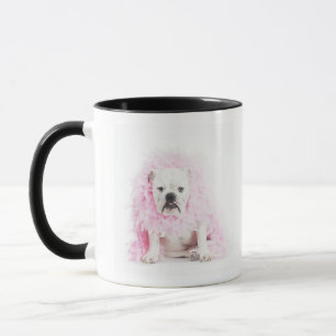 white background, white bulldog, pink feather mug