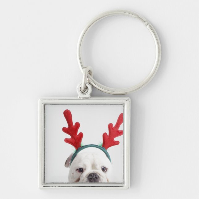 white background, white male bulldog, red key ring (Front)