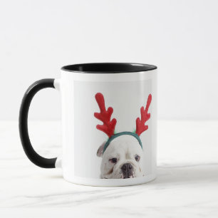 white background, white male bulldog, red mug
