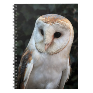 White Barn Owl Spiral Notebook
