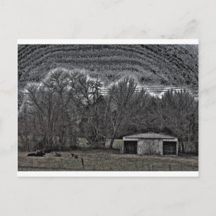 White Barn Postcard