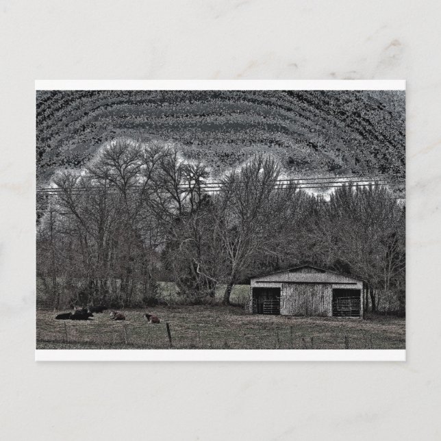 White Barn Postcard (Front)