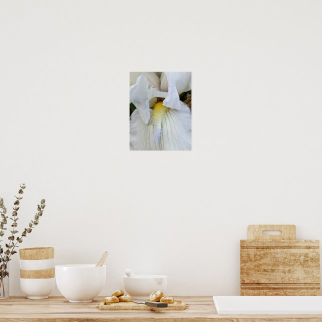 White Bearded Iris Bloom Macro Photo Poster (Kitchen)