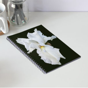 White Bearded Iris on Black Background Notebook