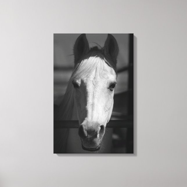WHITE BEAUTY 16x24 Canvas Print (Front)