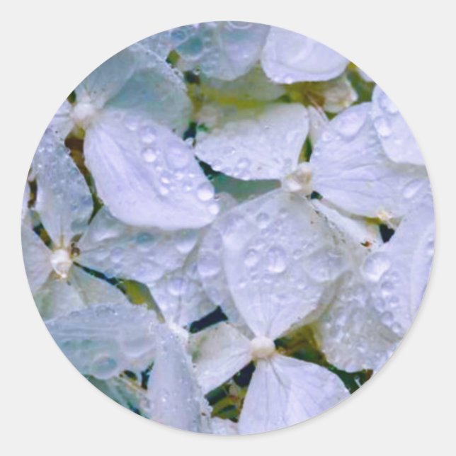 White Beauty Classic Round Sticker (Front)