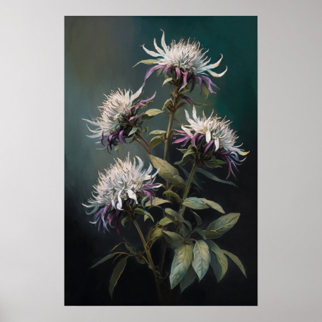 White Bee Balm Flower Art Print Poster (Front)