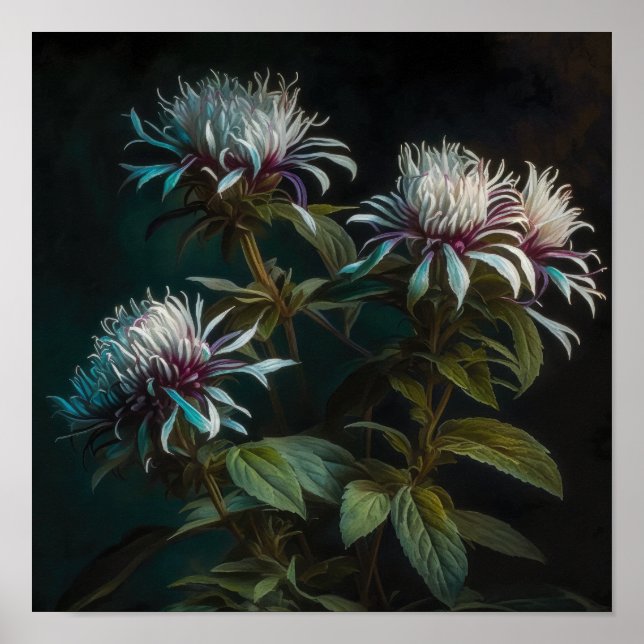 White Bee Balm Flower Art Print Poster (Front)