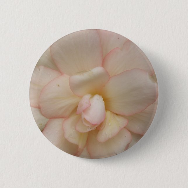 White Begonia Flower Button (Front)