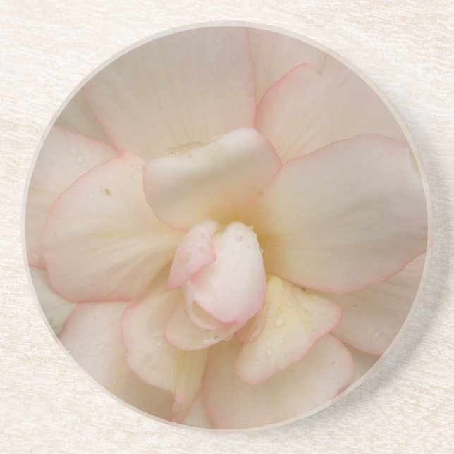 White Begonia Flower Coasters (Front)