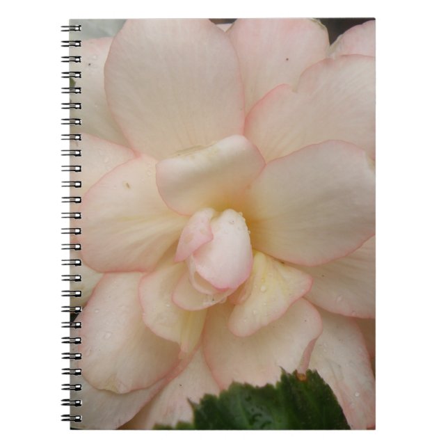 White Begonia Flower Notebook (Front)