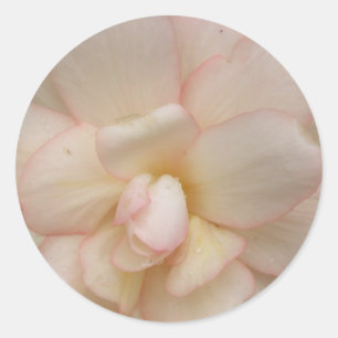 White Begonia Flower Stickers