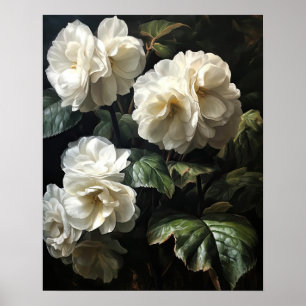 White Begonia Flowers Art Print Poster