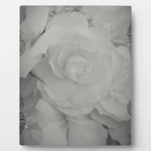 White Begonia Plaque