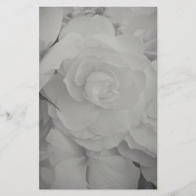 White Begonia Stationery (Front)