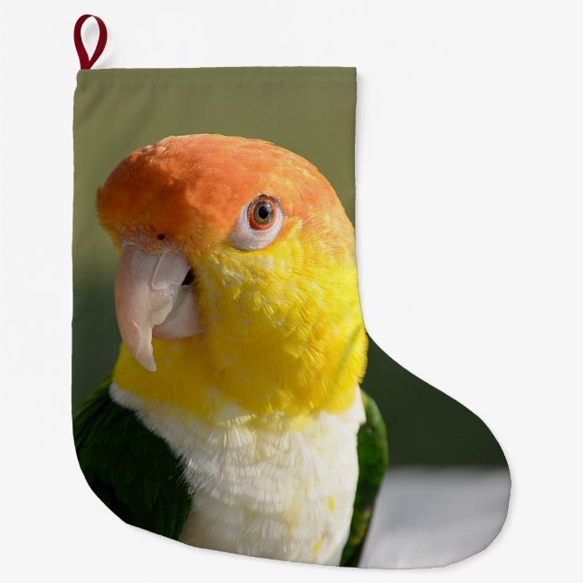 White Bellied Caique Parrot Large Christmas Stocking (Front)