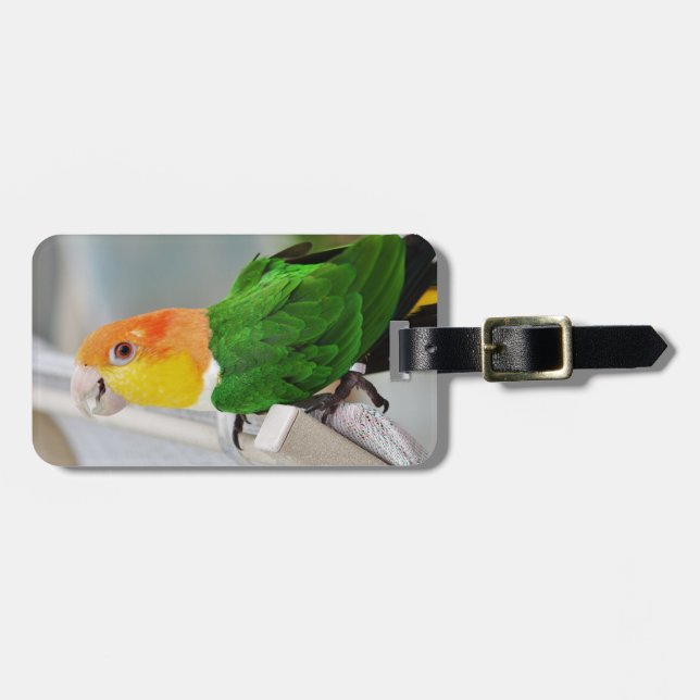 White Bellied Caique Parrot Luggage Tag (Front Horizontal)