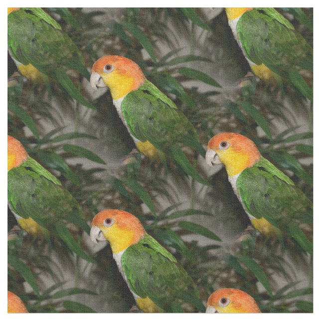 White Bellied Caique Parrot with Bamboo Tree Fabric (Close Up)