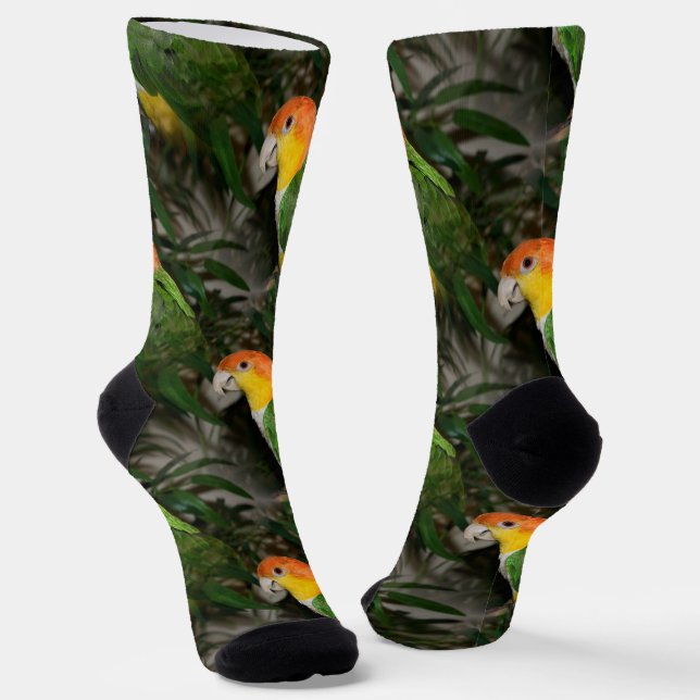 White Bellied Caique Parrot with Bamboo Tree Socks (Angled)