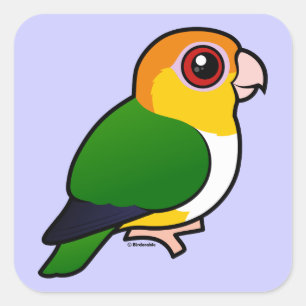 White-bellied Parrot Square Sticker