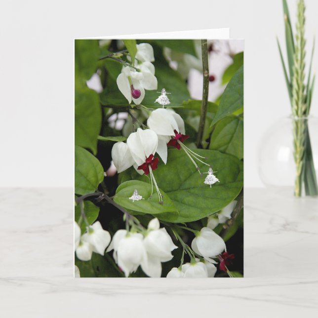 White Bells Shadow Fairies Card (Front)